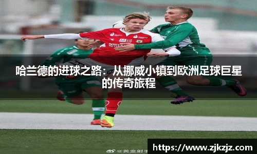 杏宇